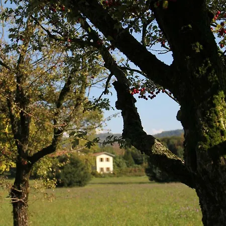 Pensionat L'antica Corte Lazzago *